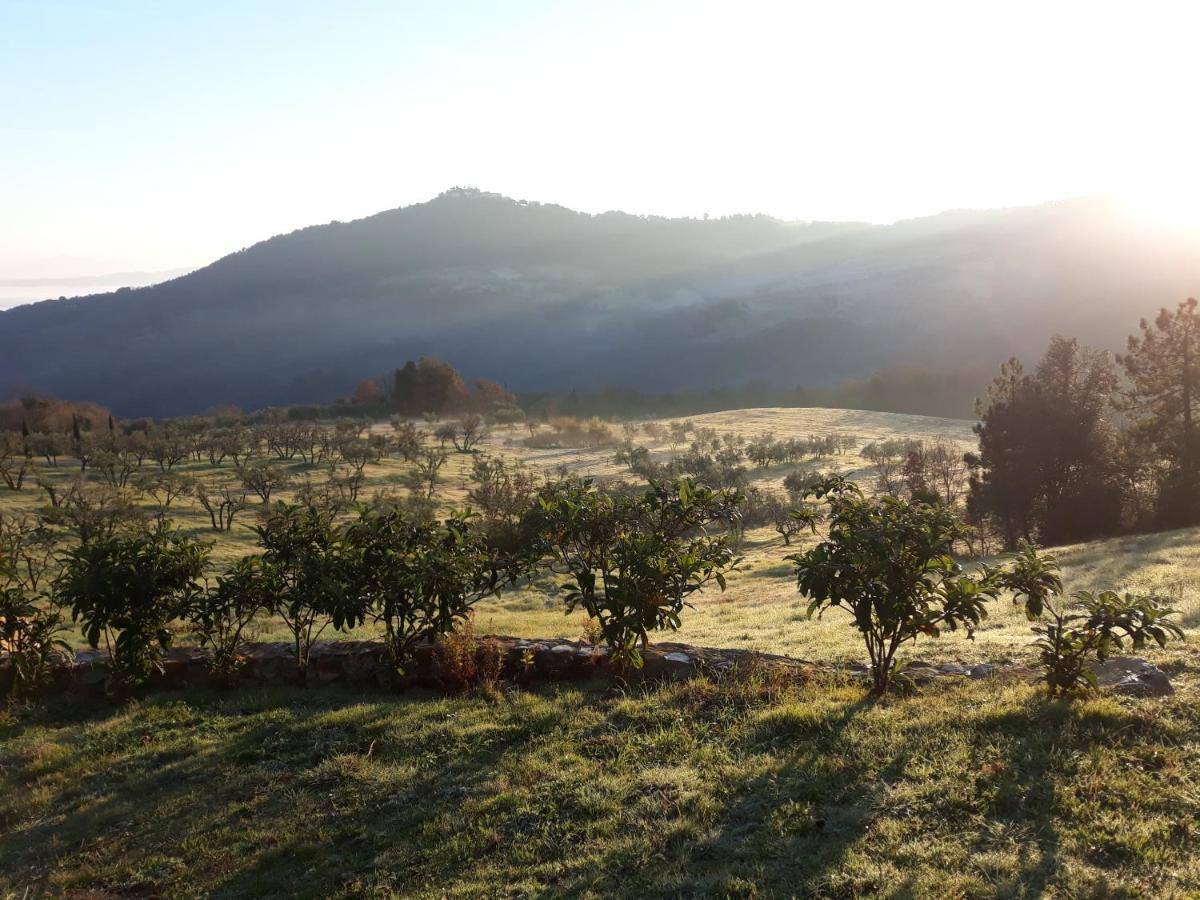 Agriturismo Aia Leccioni Micciano Dış mekan fotoğraf