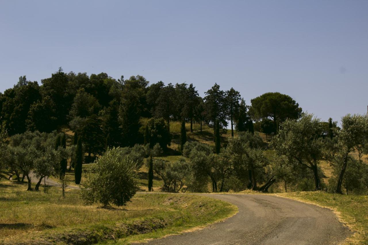 Agriturismo Aia Leccioni Micciano Dış mekan fotoğraf