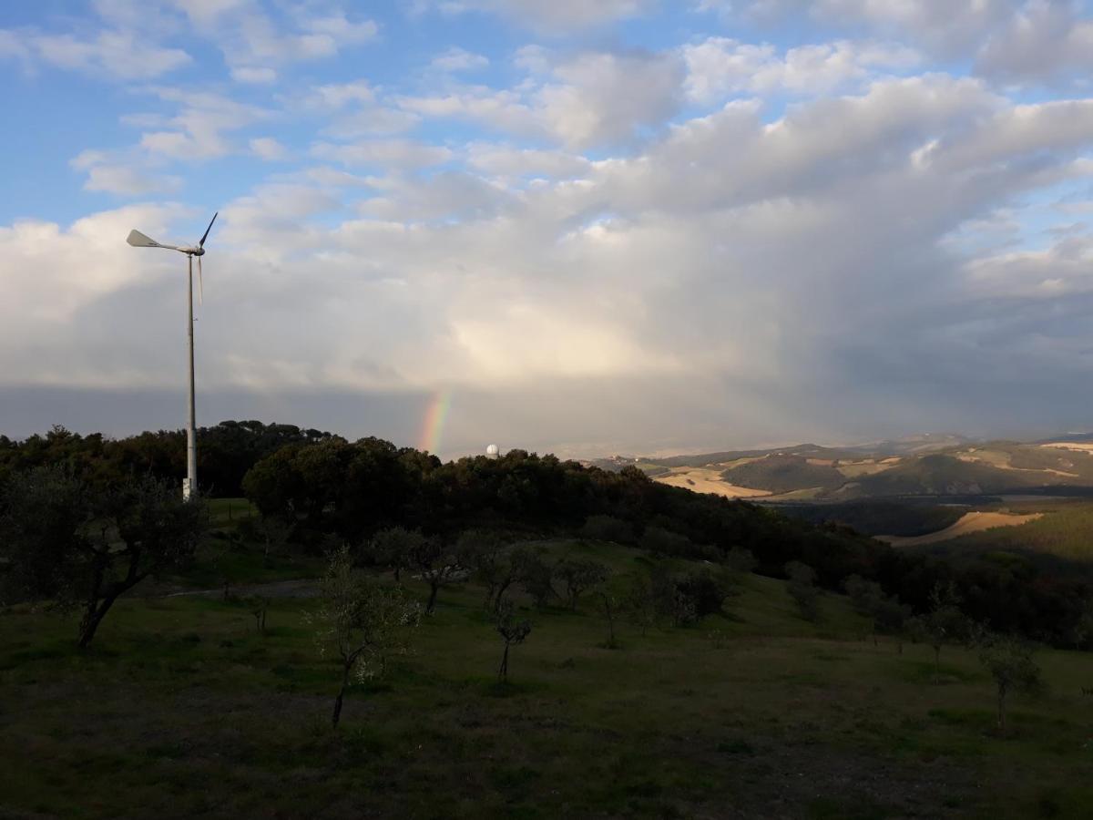 Agriturismo Aia Leccioni Micciano Dış mekan fotoğraf