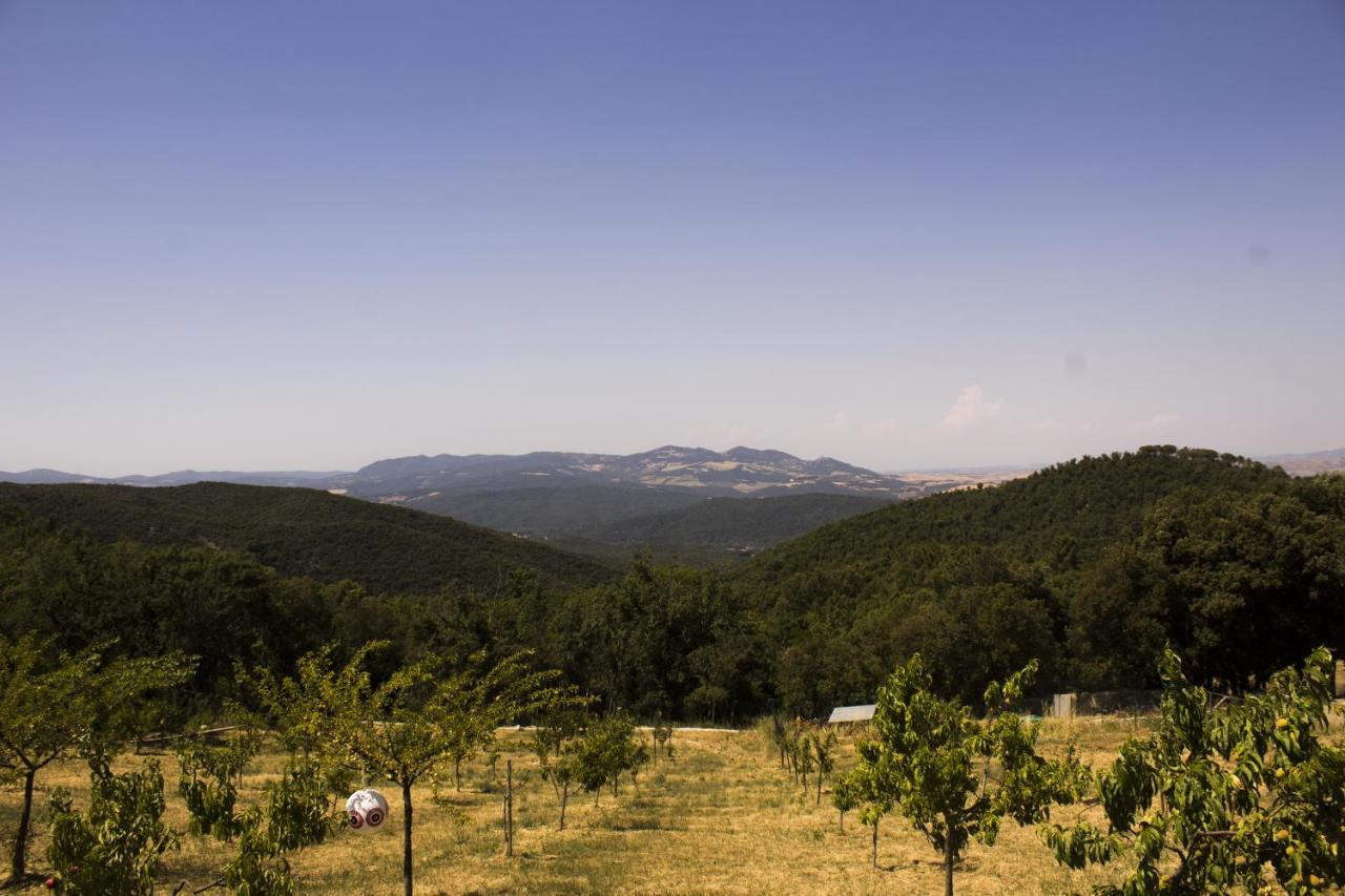 Agriturismo Aia Leccioni Micciano Dış mekan fotoğraf