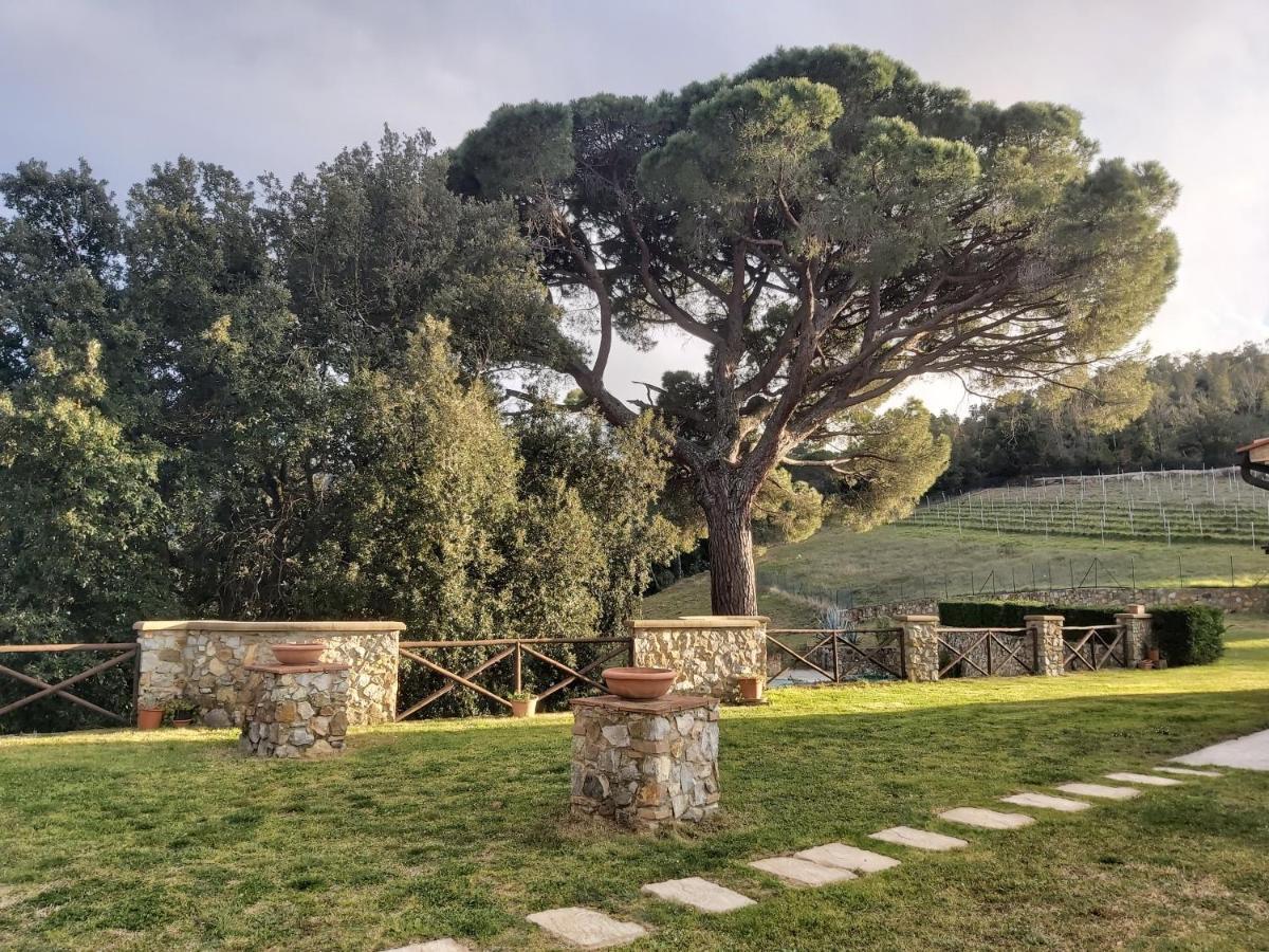 Agriturismo Aia Leccioni Micciano Dış mekan fotoğraf
