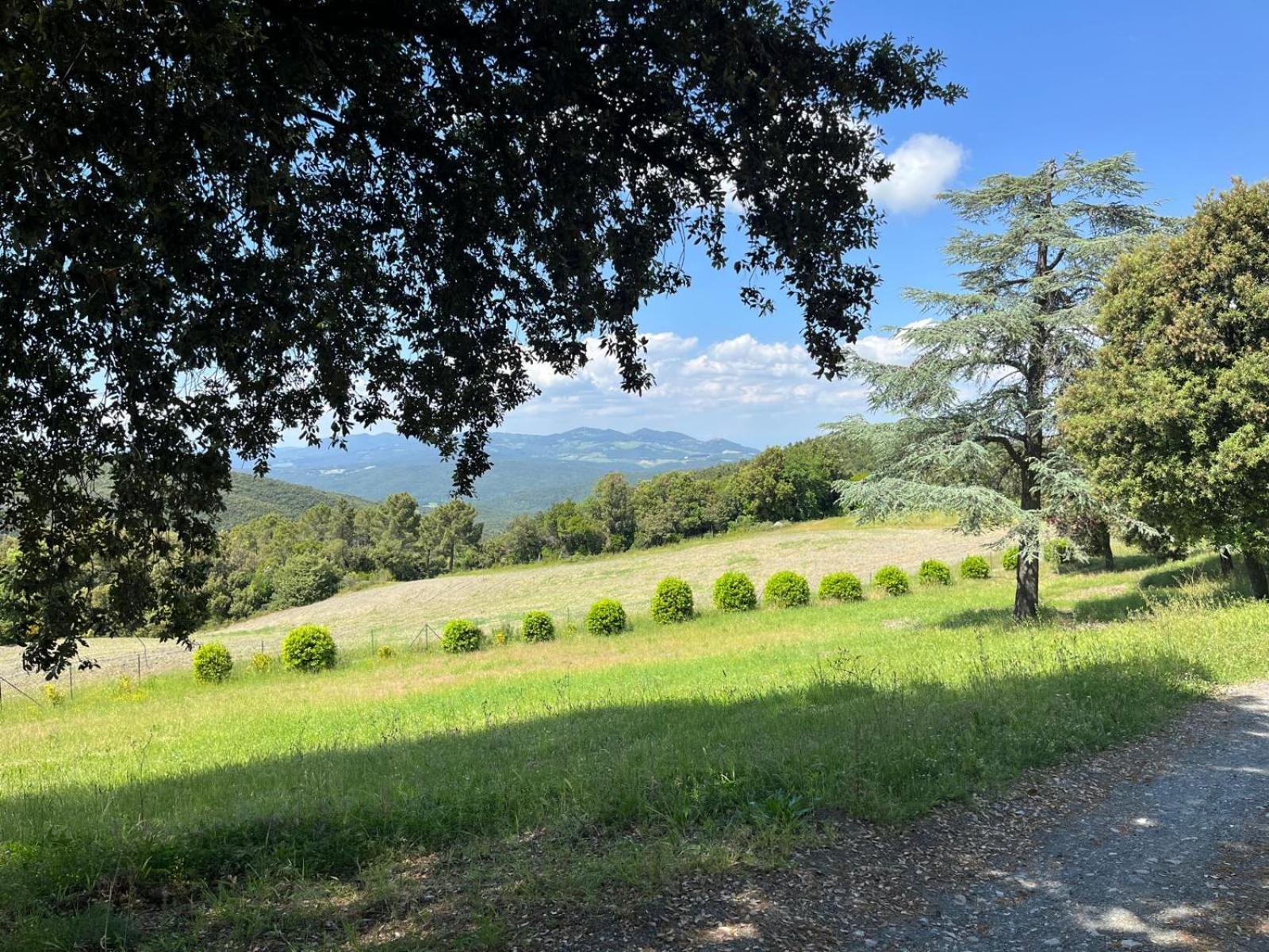 Agriturismo Aia Leccioni Micciano Dış mekan fotoğraf