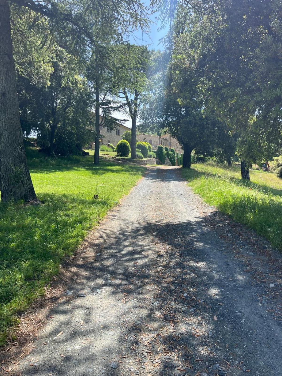 Agriturismo Aia Leccioni Micciano Dış mekan fotoğraf